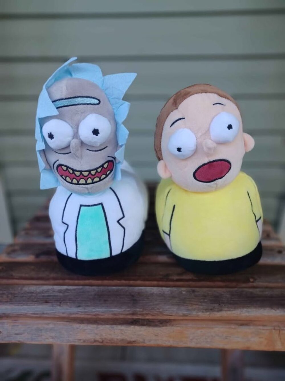 Rick and Morty bedroom slippers